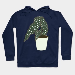 Begonia Maculata Plant – Mint Pot Hoodie